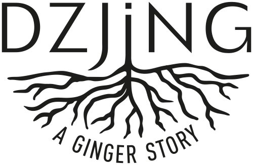DZJiNG BV